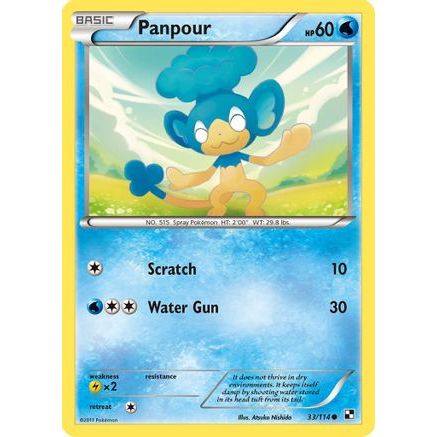 Panpour 33/114 - Black and White Reverse Holofoil