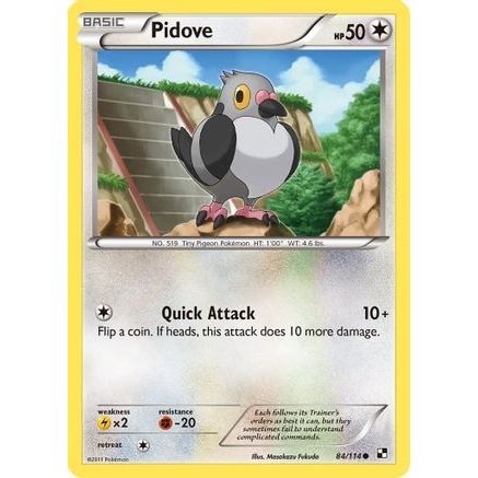 Pidove 84/114 - Black and White