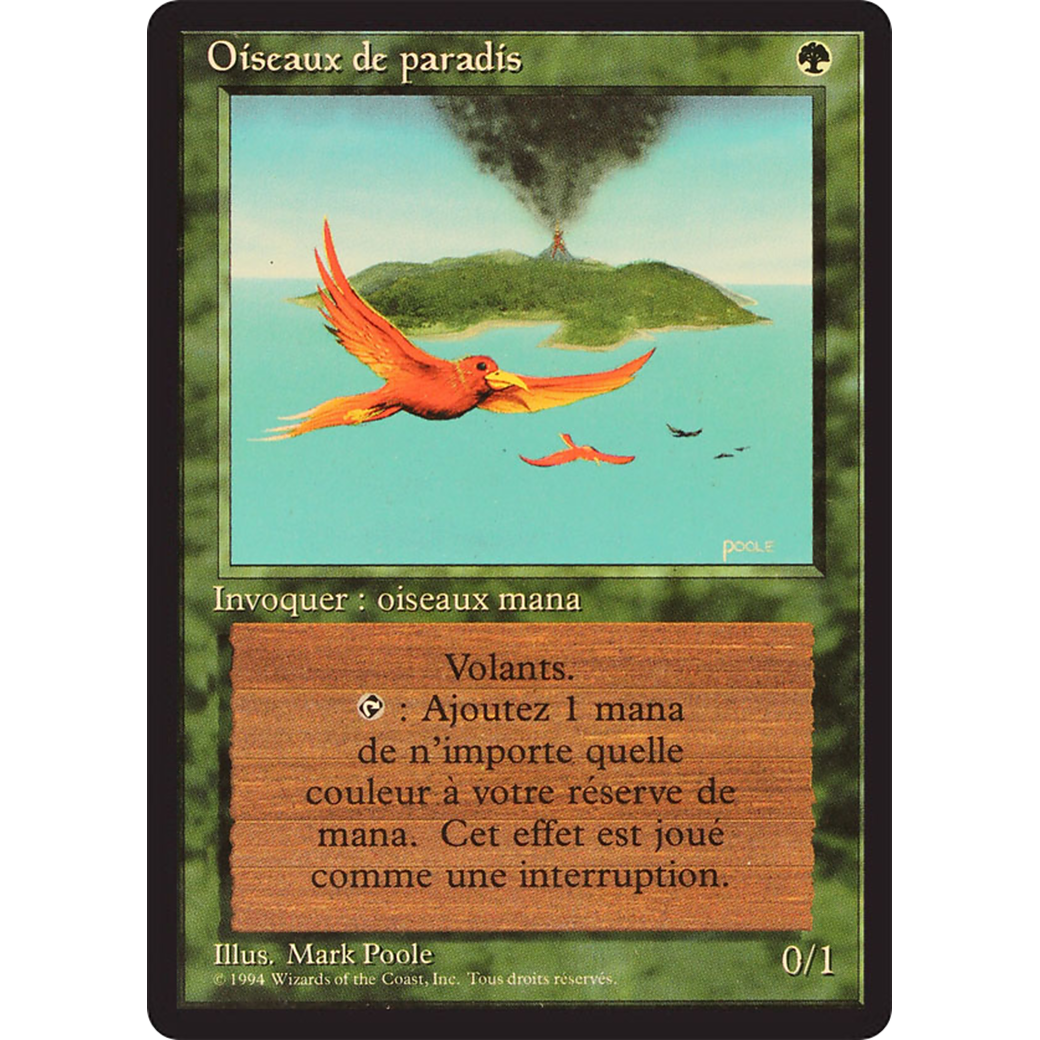 Birds of Paradise (FBB-) - Foreign Black Border
