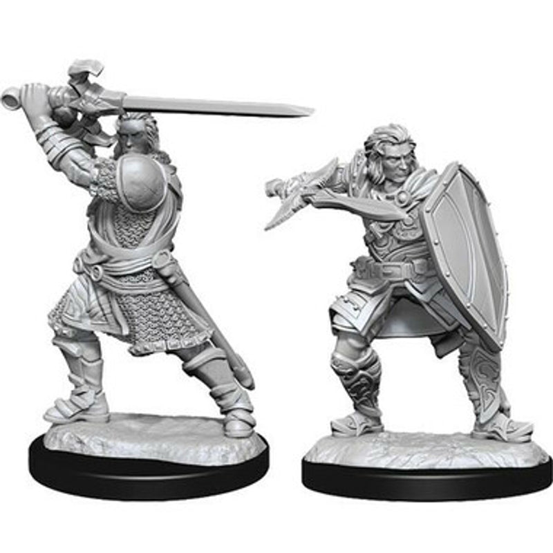 W14 Human Paladin Male Miniatures