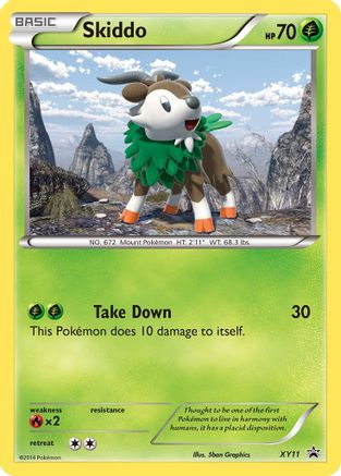 Skiddo - XY11 XY11/211 - XY Promos Holofoil
