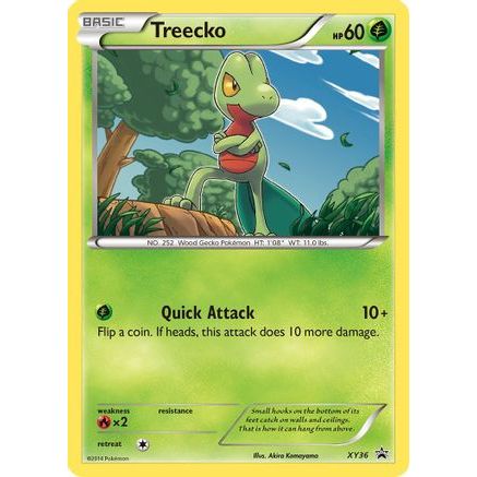 Treecko - XY36 XY36/211 - XY Promos Holofoil