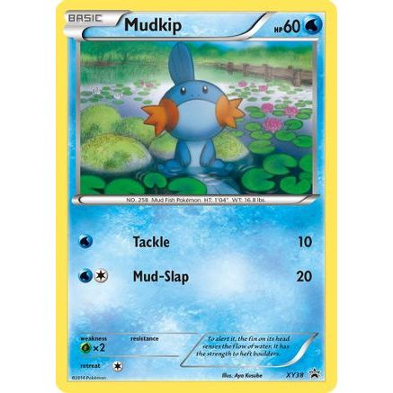 Mudkip - XY38 XY38/211 - XY Promos Holofoil