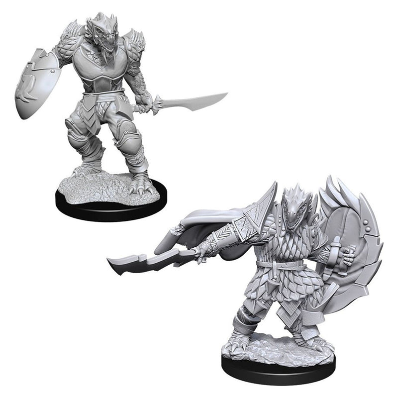 Male Dragonborn Fighter Miniatures