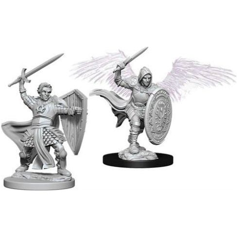 W05 Male Aasimar Paladin Miniatures