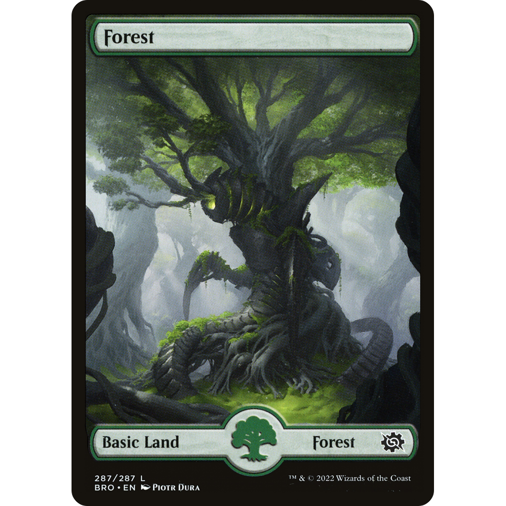 Forest (287) - Full Art (BRO-287) - The Brothers' War Foil