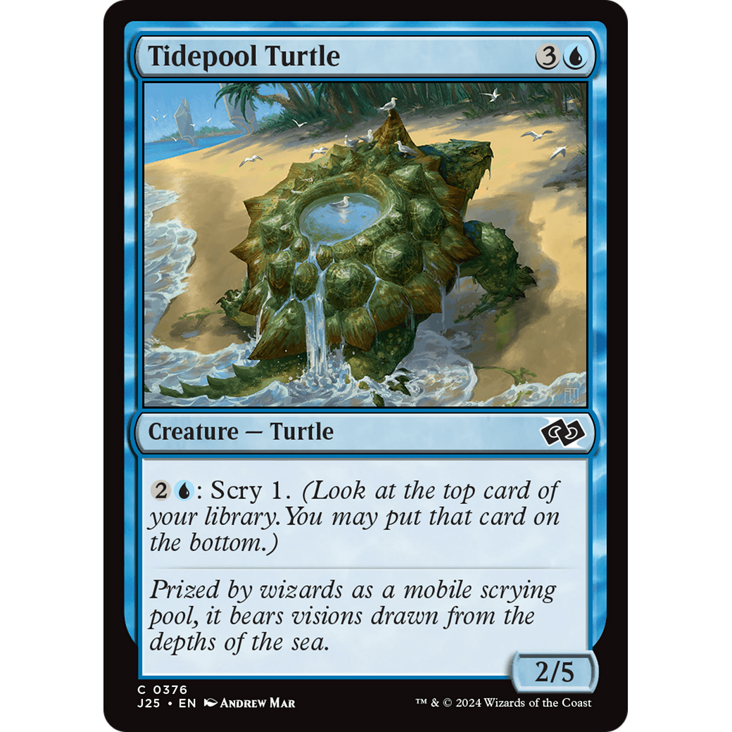 Tidepool Turtle (J25-376) - Foundations Jumpstart