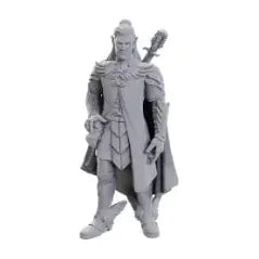 Critical Role: Dorian Storm Unpainted Miniature