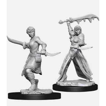 W10 Female Human Rogue Miniatures