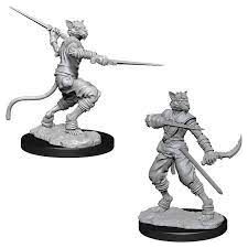 W07 Male Tabaxi Rogue Miniatures