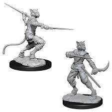 Male Tabaxi Rogue Miniatures