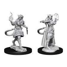 W15 Female Tiefling Sorcerer Miniatures