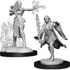 W13 Female Multiclass Warlock-Sorcerer Miniatures