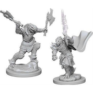 W04 Female Dragonborn Fighter Miniatures