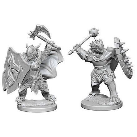 W04 Male Dragonborn Paladin Miniatures