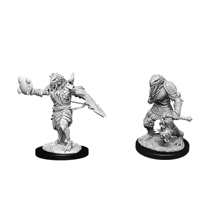 W11 Male Dragonborn Paladin Miniatures