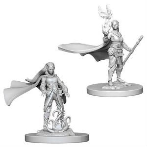 W04 Elf Female Druid Miniatures