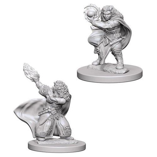 Female Dwarf Wizard Miniatures