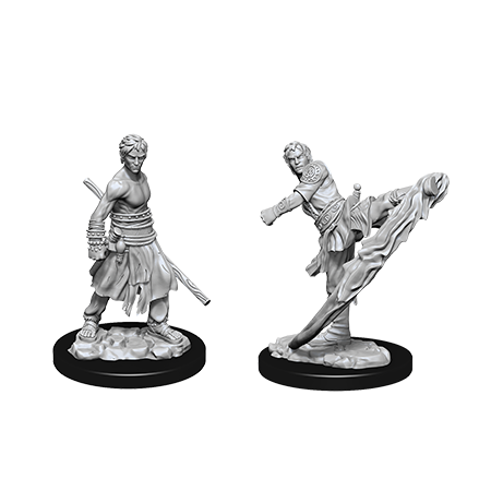 W10 Male Half-Elf Monk Miniatures