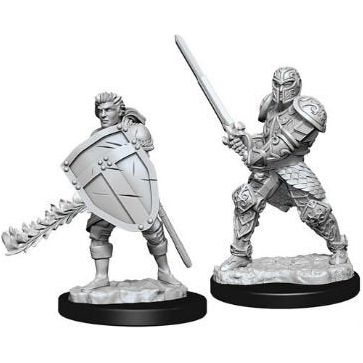 W08 Male Human Fighter Miniatures