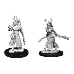 W09 Female Human Druid Miniatures