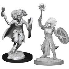 W14 Changeling Cleric Male Miniatures