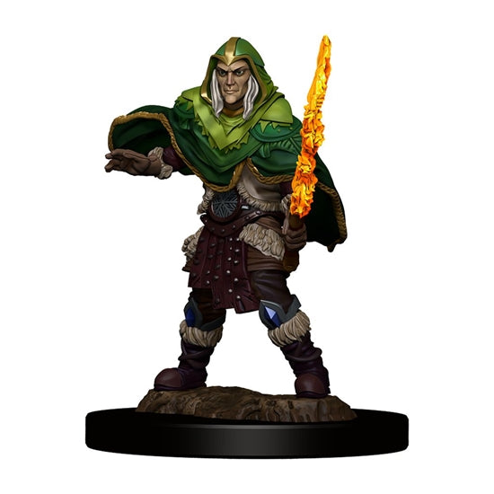 W05 Elf Fighter Male Premium Miniature