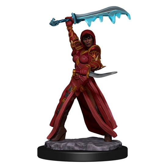 W05 Human Rogue Female Premium Miniature