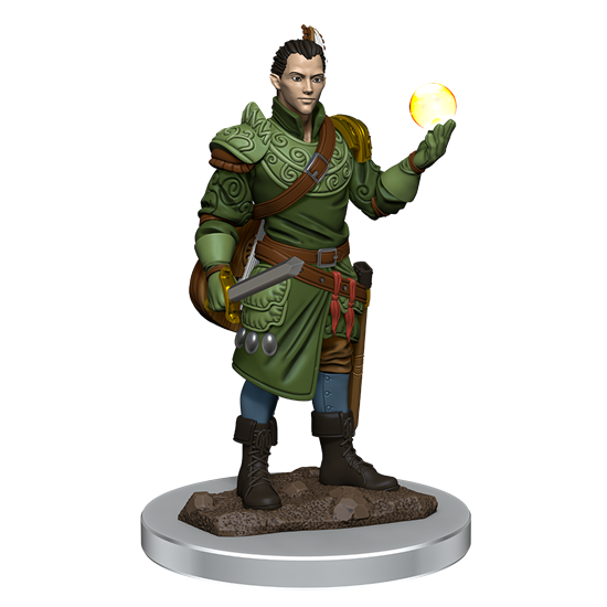 W07 Male Half-Elf Bard Premium Miniature