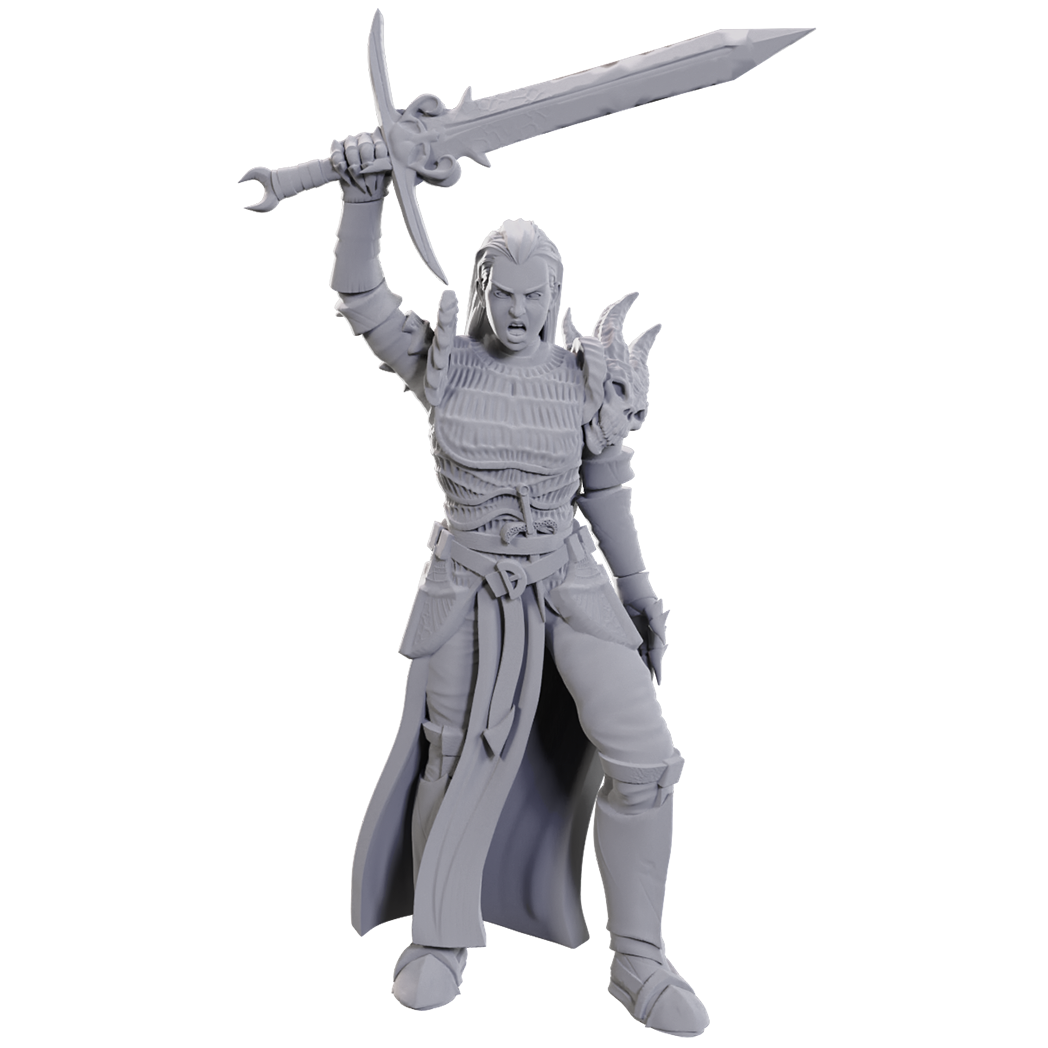 W25 Blackguard Miniature