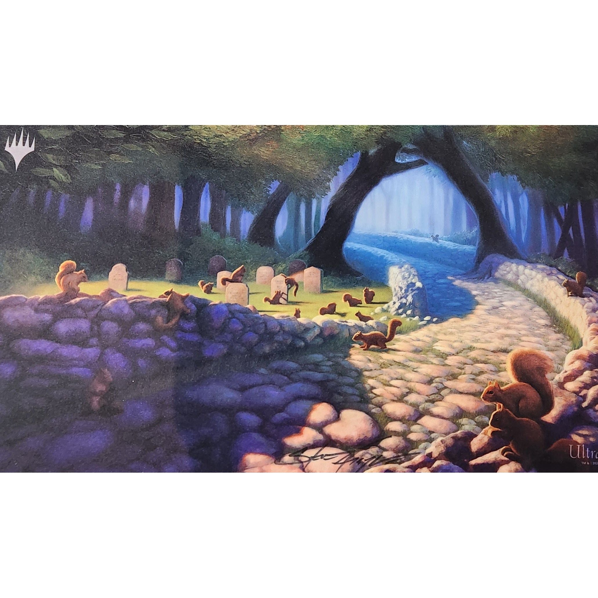 Squirrel playmat