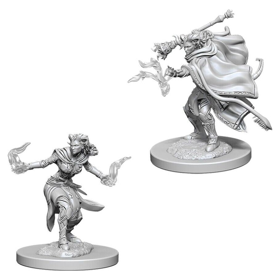 W06 Female Tiefling Warlock Miniatures