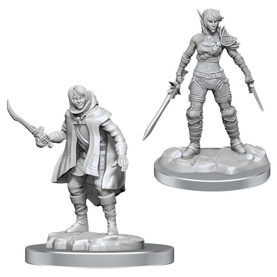 W19 Elf Rogue & Half-Elf Rogue Protege Miniatures