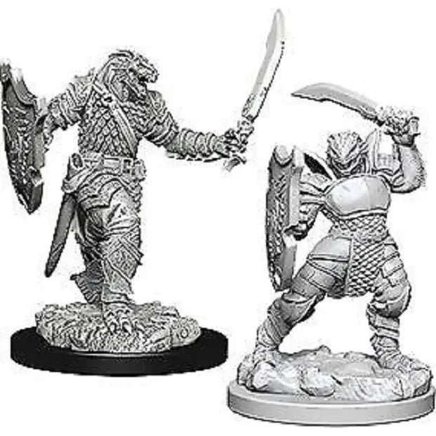 W05 Female Dragonborn Paladin Miniatures