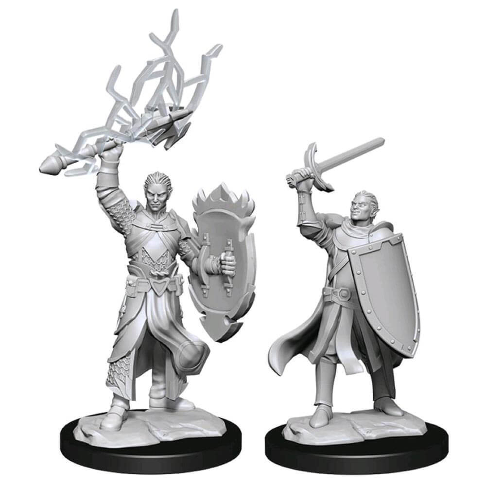 W14 Half-Elf Paladin Male Miniatures