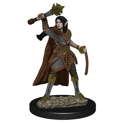 Elf Female Cleric Premium Miniature