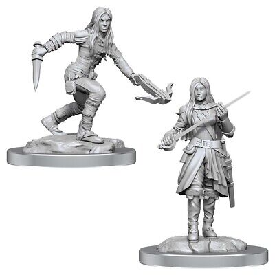 W17 Half-Elf Rogue Female Miniatures