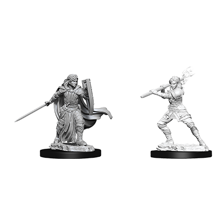 W10 Female Human Paladin Miniatures