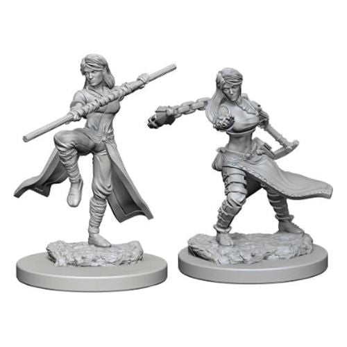 W01 Female Human Monk Miniatures