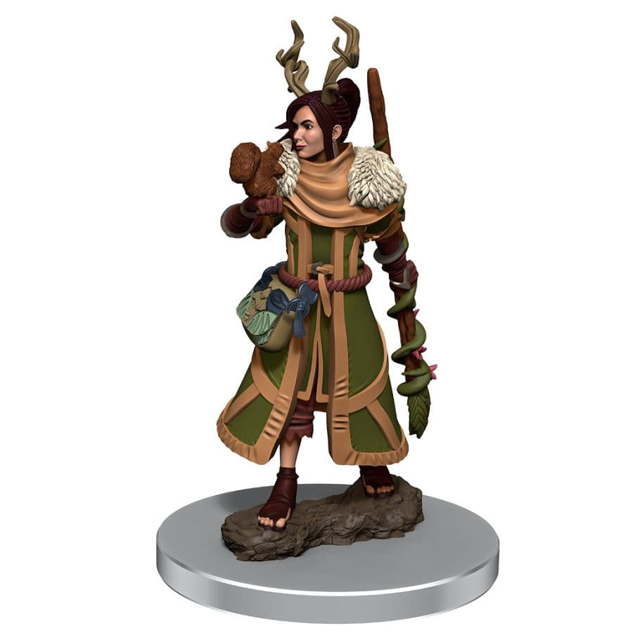 W07 Female Human Druid Miniature