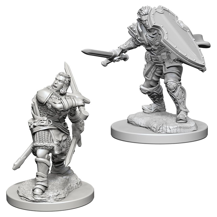 W3 Human Male Paladin Miniatures