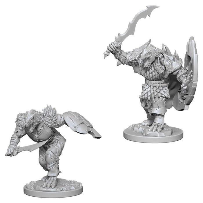 W04 Dragonborn Male Fighter Miniatures