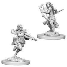 W04 Female Airgenasi Rogue Miniatures