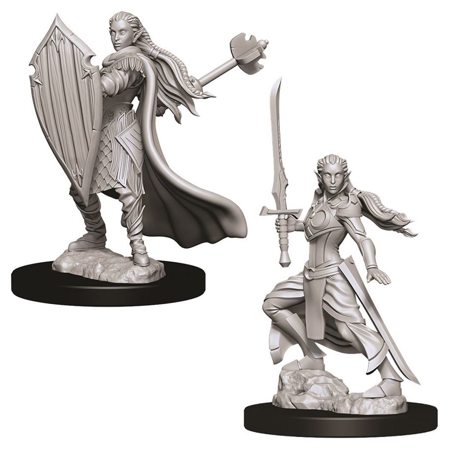 W09 Female Elf Paladin Miniatures