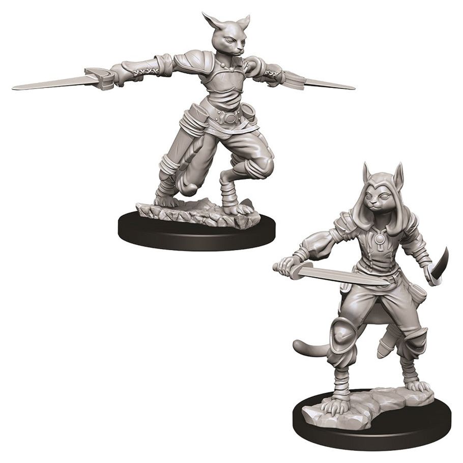 W09 Female Tabaxi Rogue Miniatures