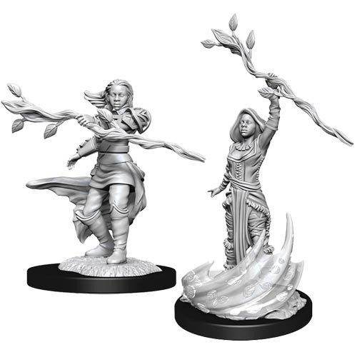 W14 Human Druid Female Miniatures