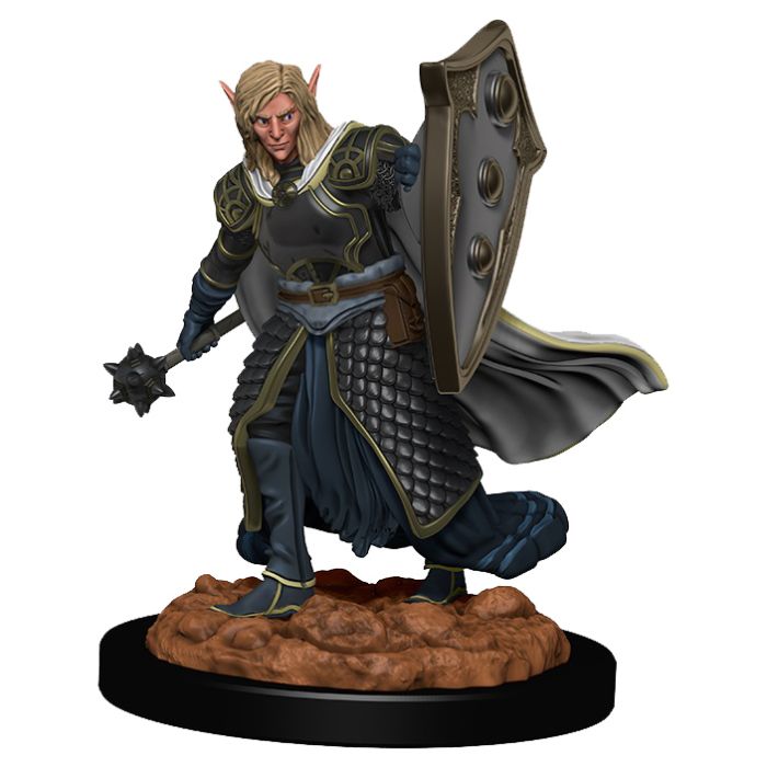 W02 Elf Male Cleric Premium Miniature