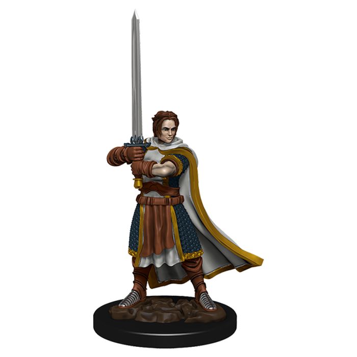 W04 Human Cleric Male Premium Miniature