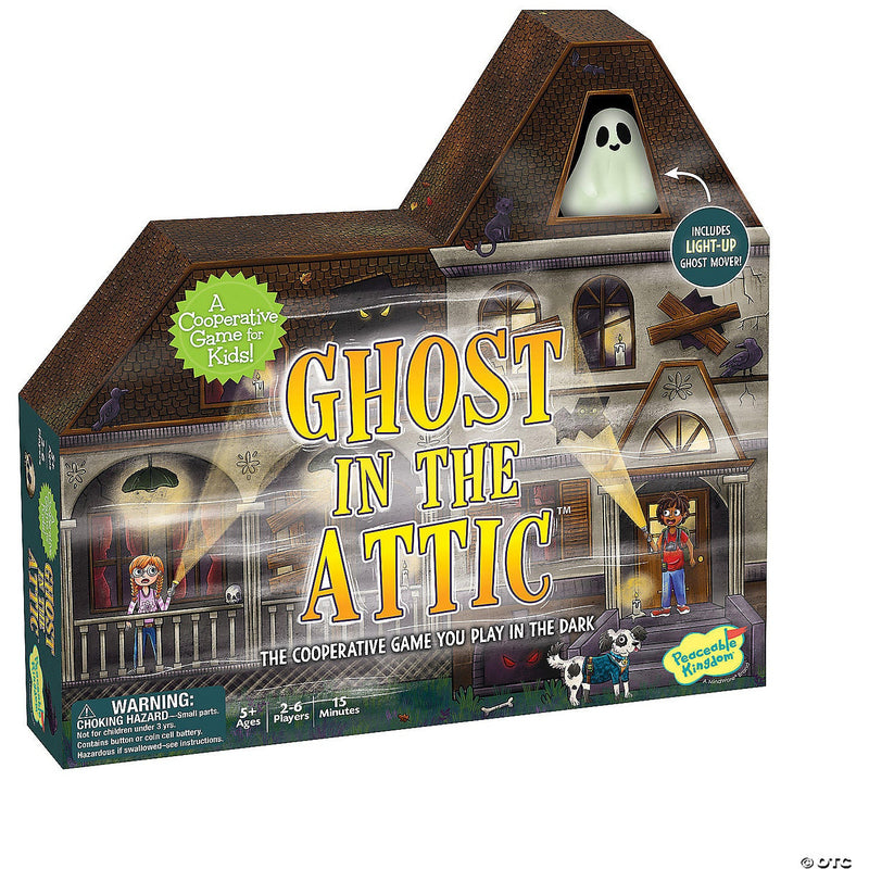 Ghost in the Attic